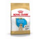 Royal Canin Puppy Labrador Retriever cibo per cane