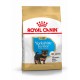 Royal Canin Puppy Yorkshire Terrier cibo per cane