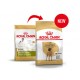 Royal Canin Alano Adulto