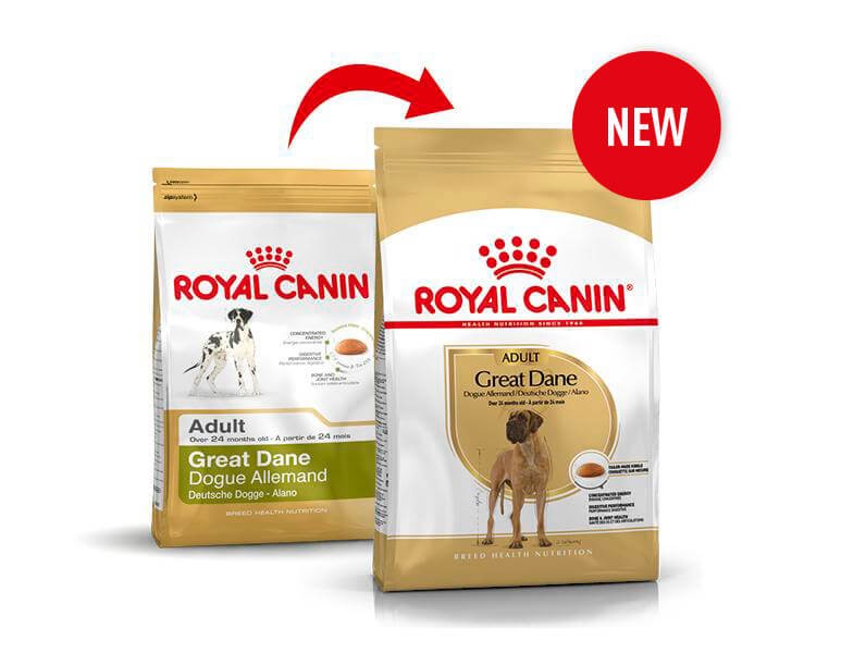 Royal Canin Alano Adulto