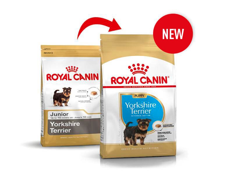 Royal Canin Puppy Yorkshire Terrier cibo per cane
