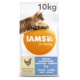 Iams For Vitality Adult Dental Kattenvoer