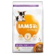 Iams for Vitality Cane Puppy taglia Small & Medium, con pollo