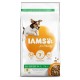 Iams for Vitality Cane Adult taglia Small & Medium