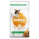 Iams for Vitality Cane Adult taglia Small & Medium, con agnello