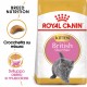 Royal Canin Gattino British Shorthair