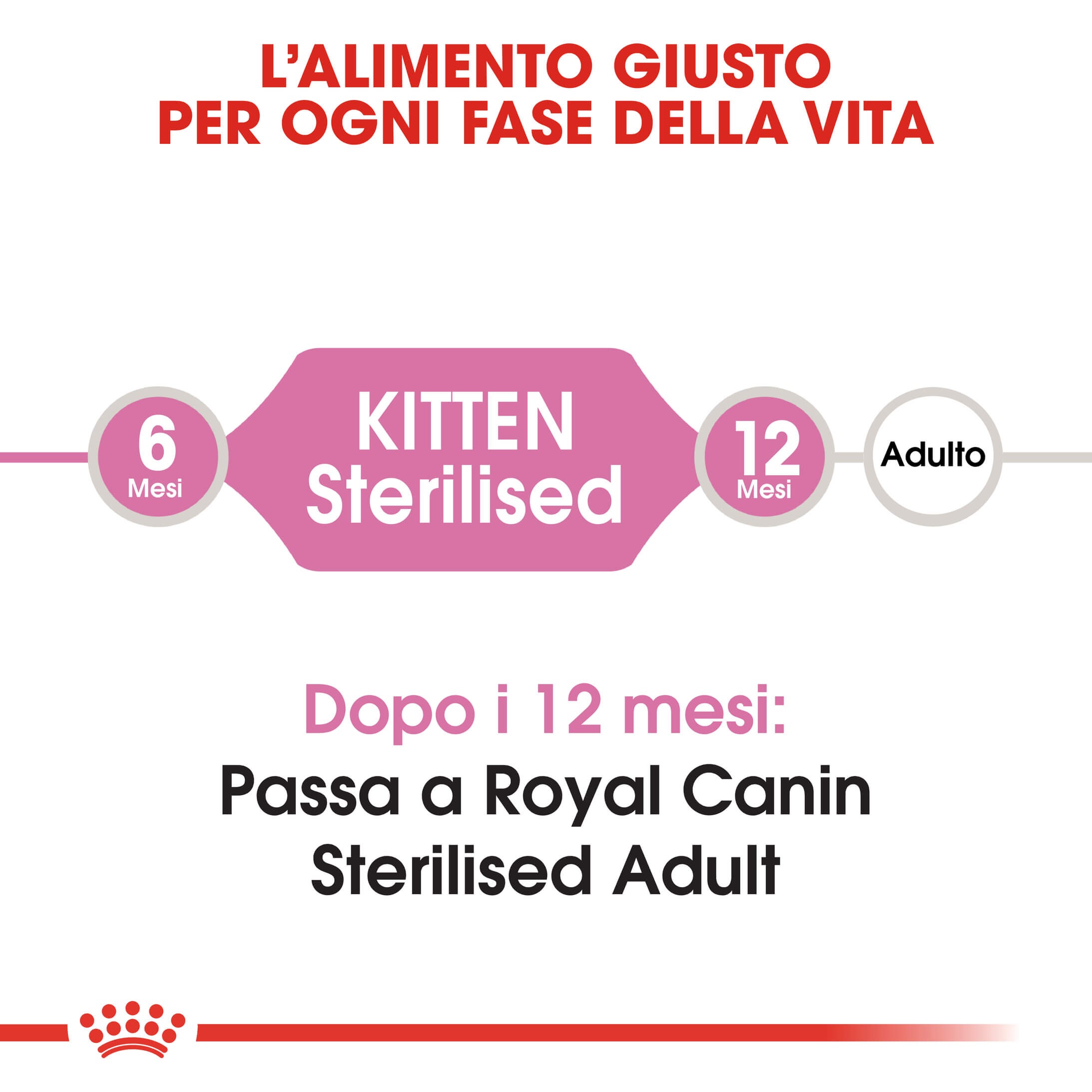 Royal Canin Kitten (Gattino) Sterilised