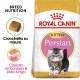Royal Canin Gattino Persiano 32