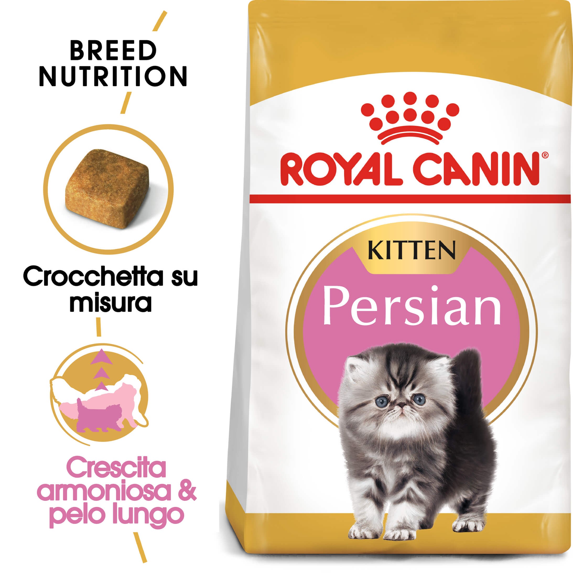 Royal Canin gattino Persiano
