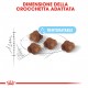 Royal Canin Babycat 34 Gatto