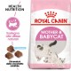 Royal Canin Babycat 34 Gatto