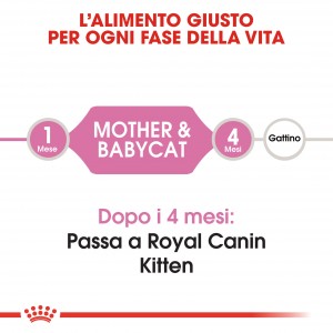 Royal Canin Babycat 34 Gatto