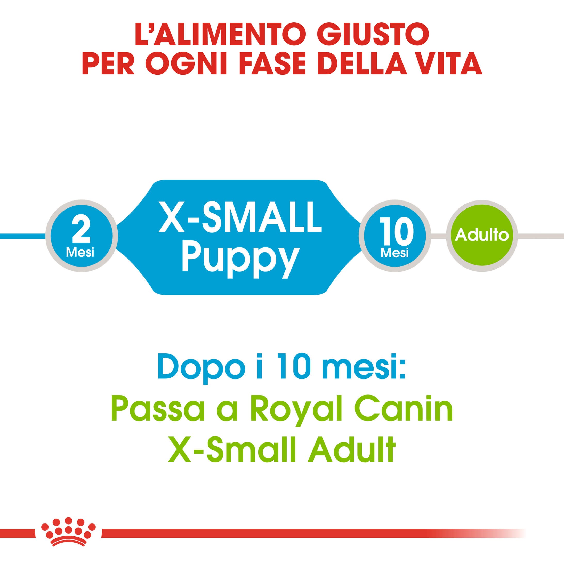 Royal Canin Mini X-Small Junior voor de hond