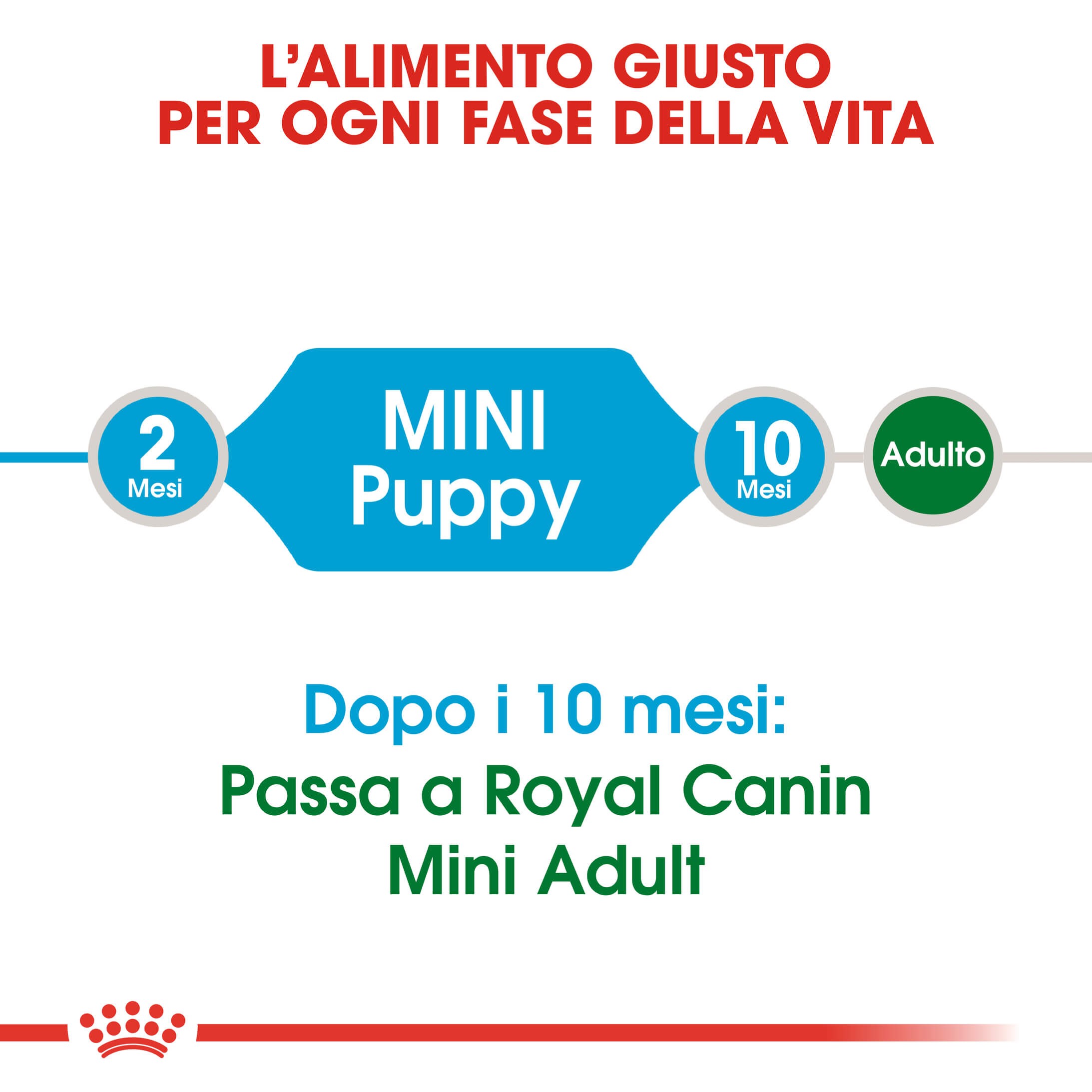 Royal Canin Mini Puppy per cane