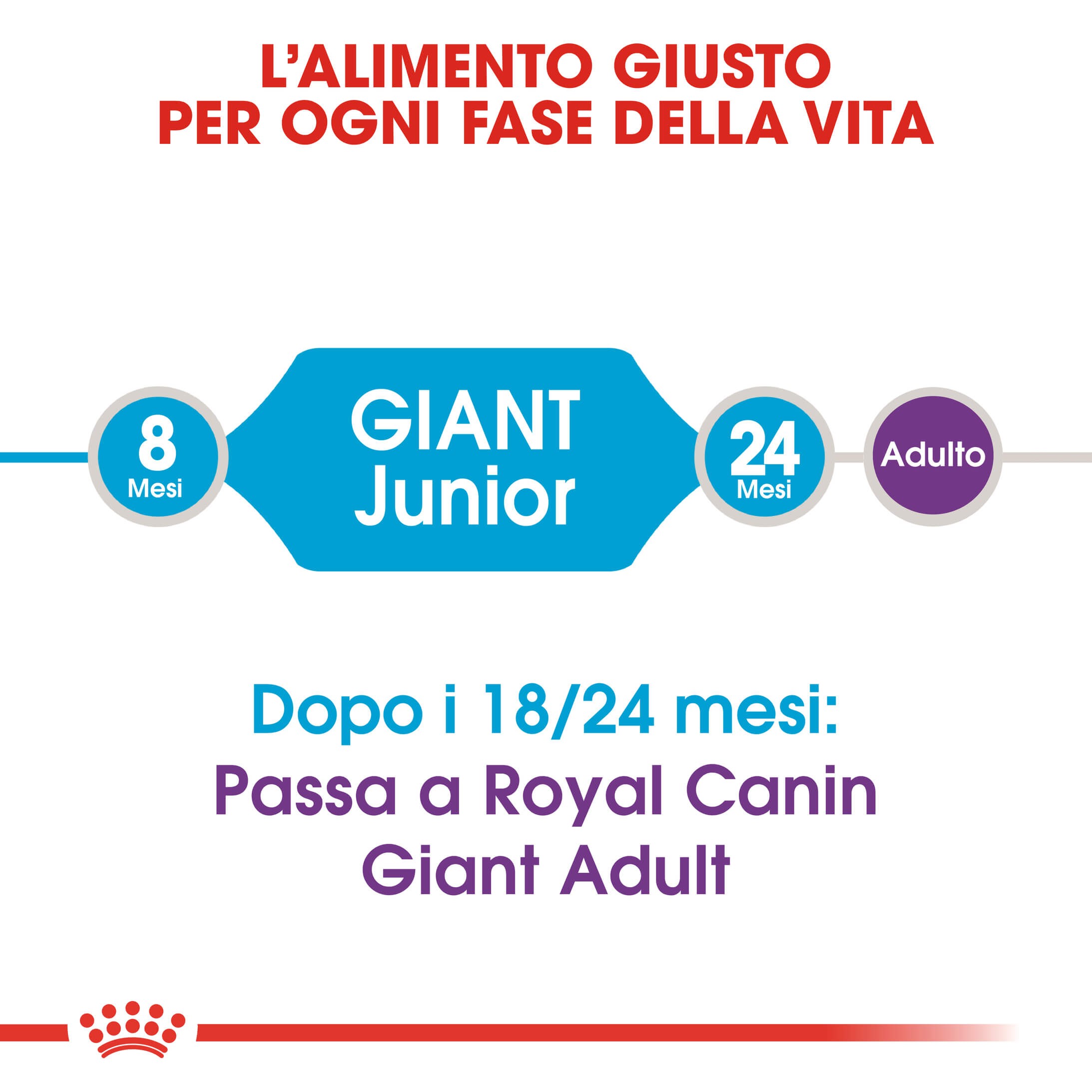 Royal Canin Giant Junior per cane