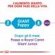 Royal Canin Giant Puppy per cane