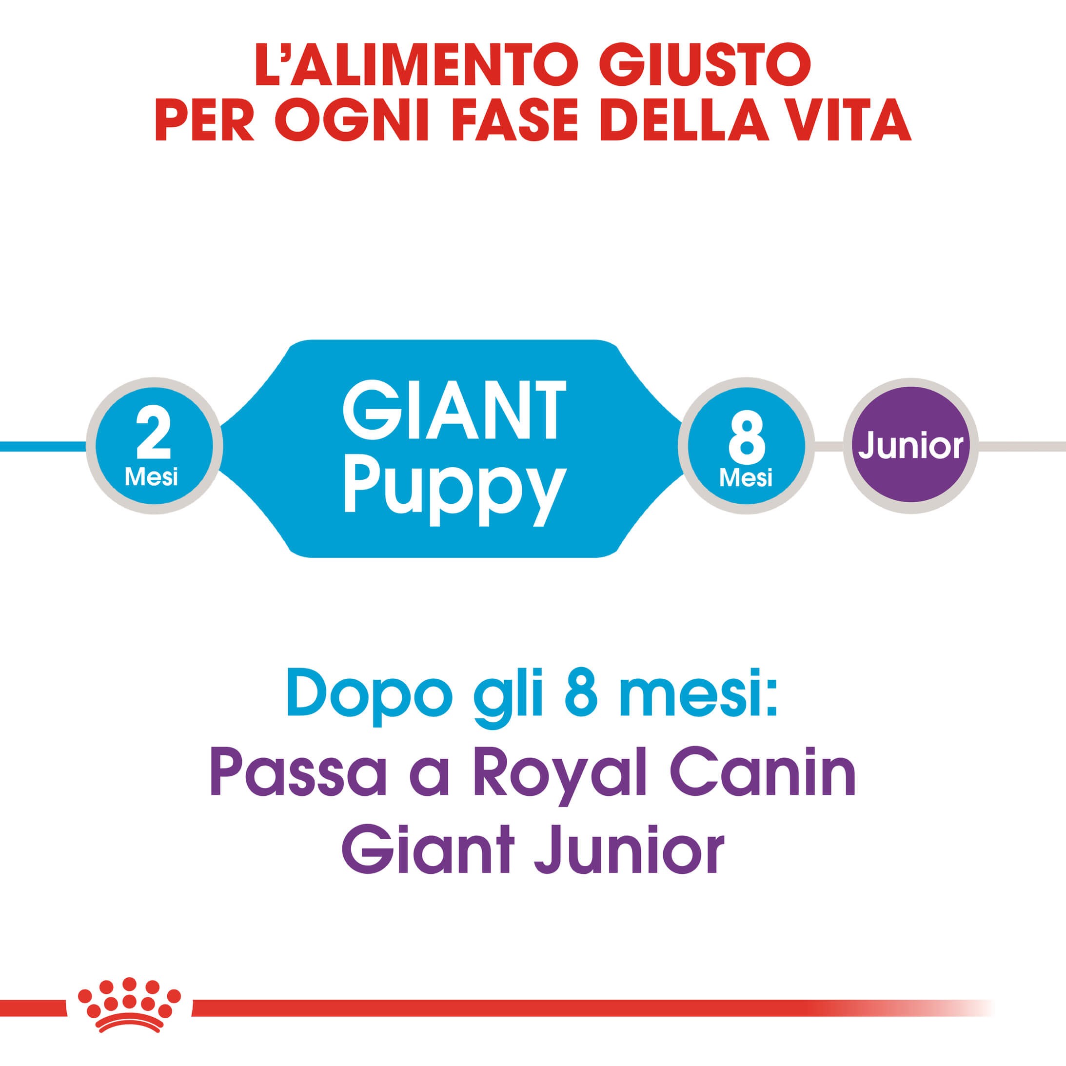 Royal Canin Giant Puppy per cane