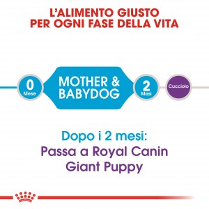 Royal Canin Giant Starter Mother and Babydog per cane