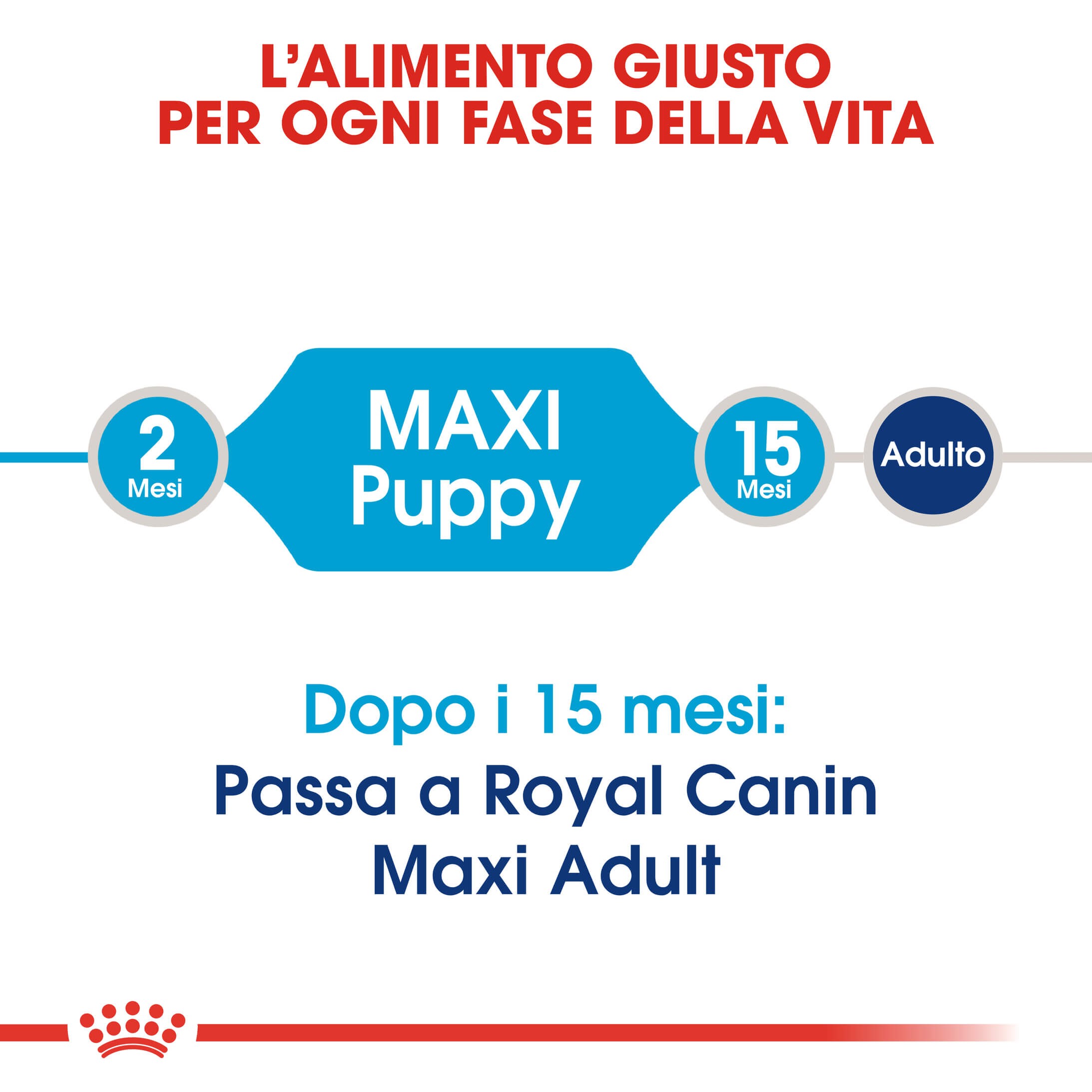 Royal Canin Maxi Puppy per cane