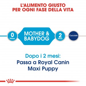 Royal Canin Maxi Starter Mother and Babydog per cane