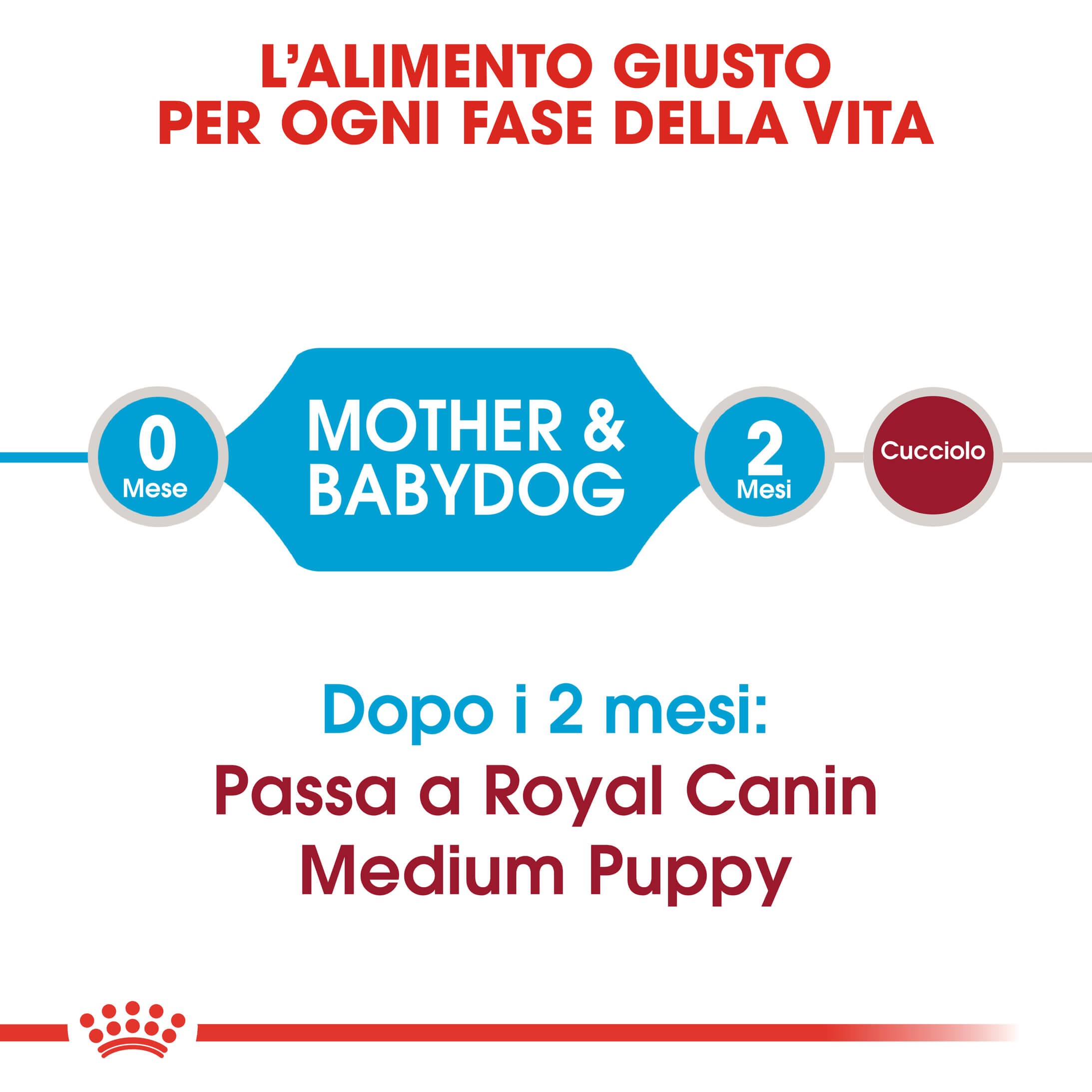 Royal Canin Medium Starter Mother and Babydog