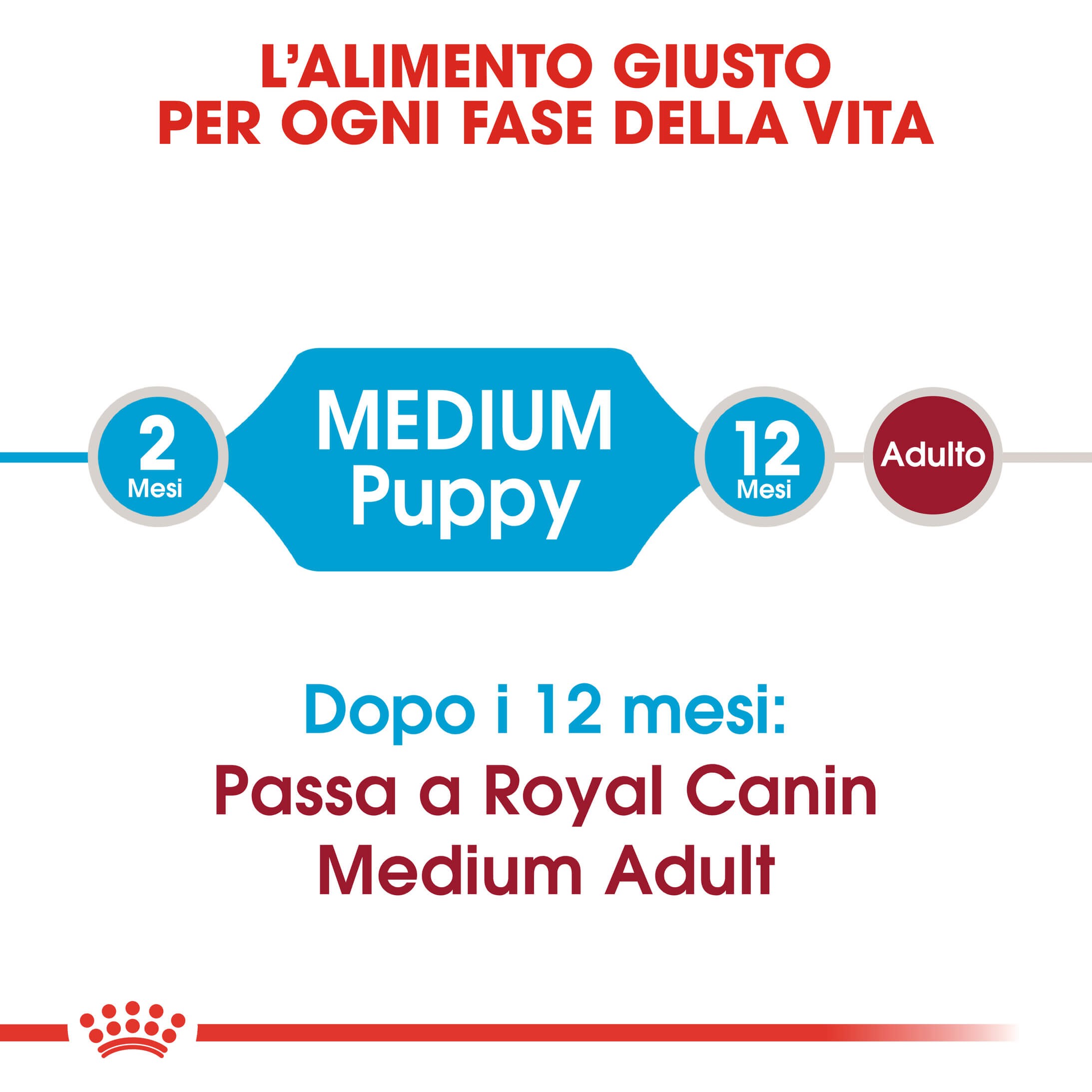 Royal Canin Medium Puppy per cane