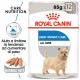 Royal Canin Light Weight Care cibo umido per cane  85 g