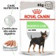 Royal Canin Digestive Care cibo umido per cane  85 g