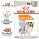 Royal Canin Coat Care cibo umido per cane  85 g