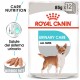 Royal Canin Urinary Care cibo umido per cane  85 g