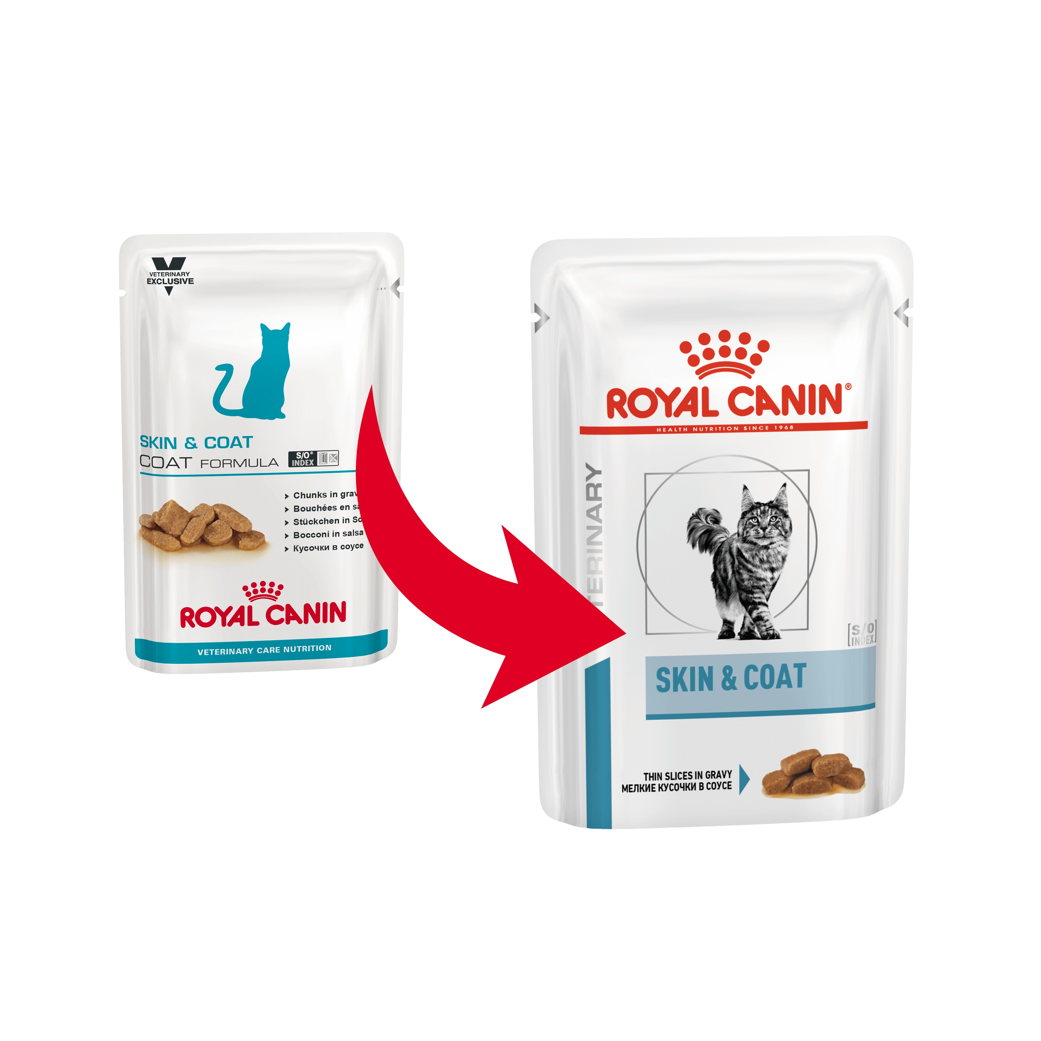 Royal Canin Skin & Coat bustine per gatto