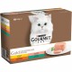 Gourmet Gold Mousse x12 pollo/salmone/rognone/coniglio per gatto