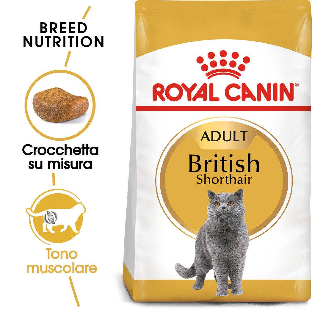 Royal Canin Adult British Shorthair 34