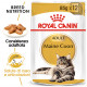 Royal Canin Maine Coon Adult cibo umido per gatto