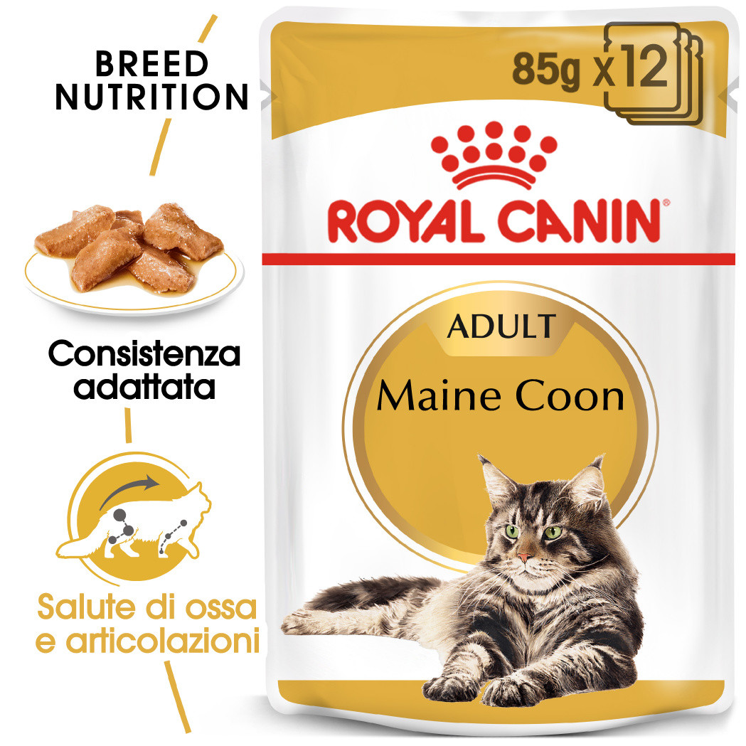 Royal Canin Maine Coon Adult Pouch