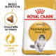 Royal Canin Gatto delle Foreste Norvegesi