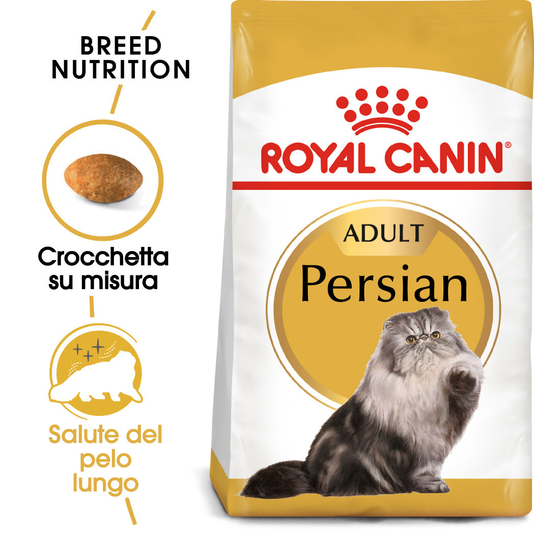 Royal Canin per gatto Persiano