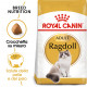 Royal Canin Gatto Ragdoll