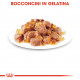 Royal Canin Pouch Ageing +12 cibo umido per gatto x12