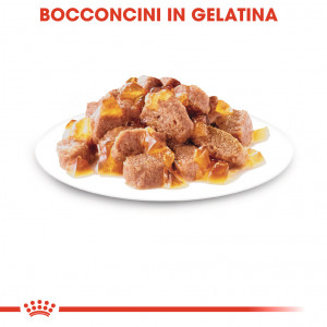 Royal Canin Instinctive in salsa cibo umido per gatto (85 g)