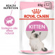 Royal Canin Kitten in gelatina/salsa cibo umido per gattini 85g