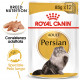 Royal Canin Persian Adult cibo umido per gatto