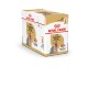 Royal Canin Adult Yorkshire Terrier cibo umido per cane