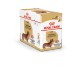 Royal Canin Adult Bassotto cibo umido per cane