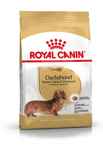 Royal Canin Adult Bassotto cibo per cane