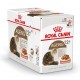 Royal Canin Pouch Ageing +12 cibo umido per gatto x12