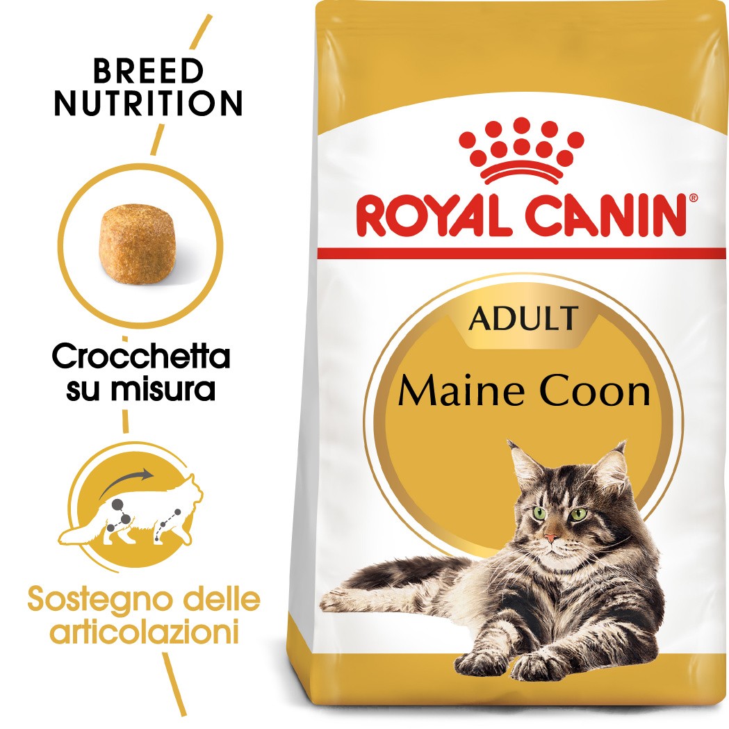 Royal Canin Gatto Maine Coon 31 Adult