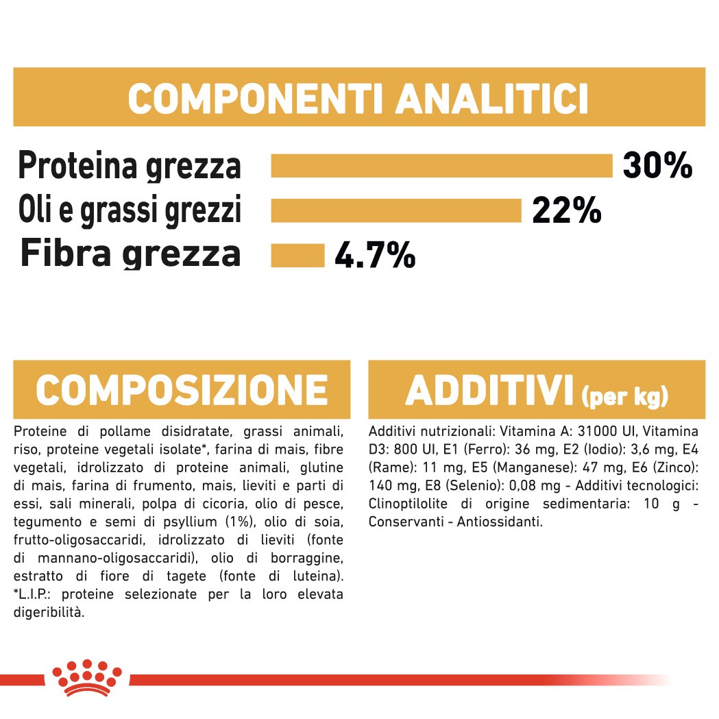 Royal Canin per gatto Persiano