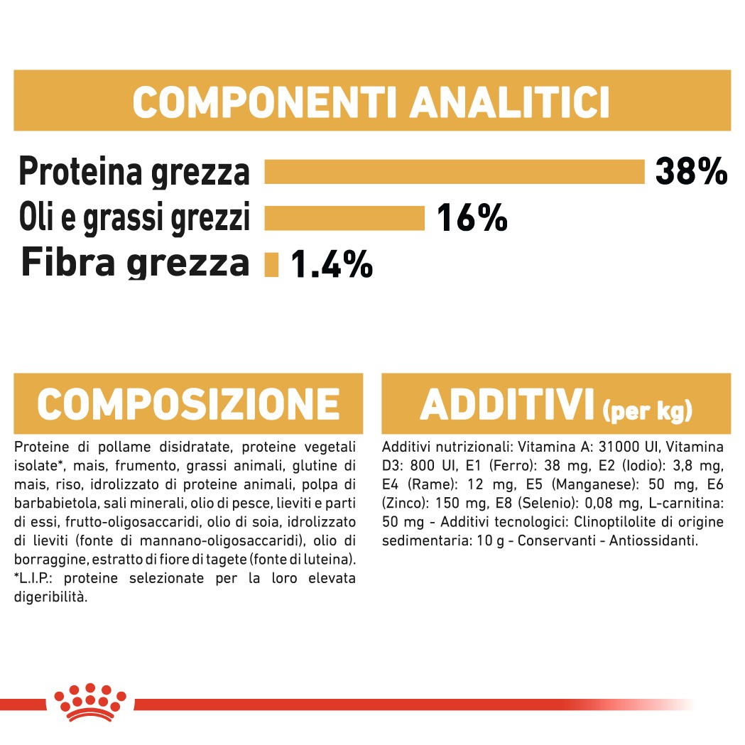 Royal Canin Gatto Siamese 38