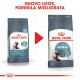 Royal Canin Hairball Care Gatto